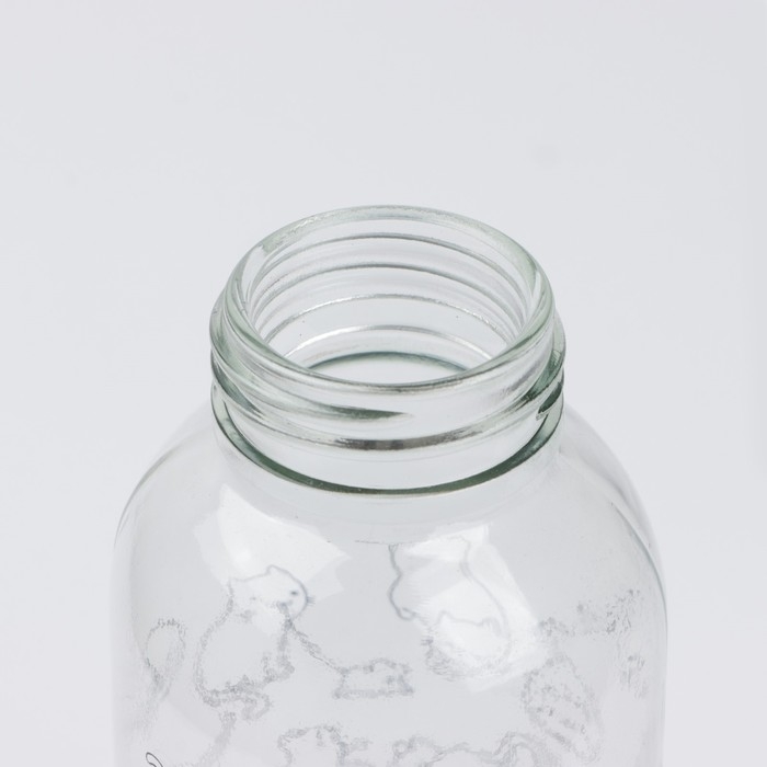 Бутылка для воды &laquo;Котики&raquo;, 500 мл, стекло