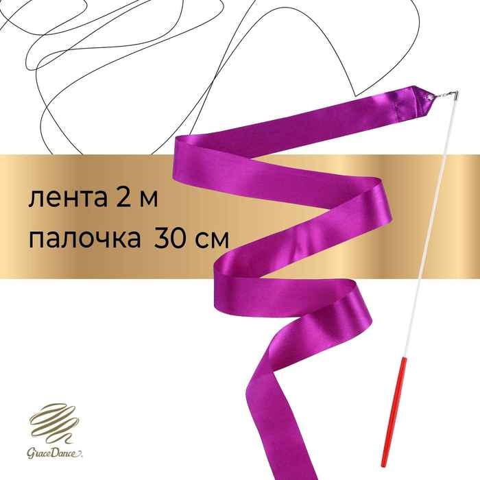 Лента для художественной гимнастики с палочкой Grace Dance, 2 м, цвет фиолетовый Лента для художественной гимнастики с палочкой Grace Dance, 2 м, цвет фиолетовый