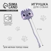 Игрушка для собак &laquo;Котик&raquo;, с канатом