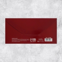 Набор конвертов для денег &laquo;Универсальный&raquo;, 20 шт, 16.5 &times; 8 см