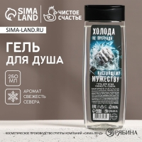 Новый Год. Гель для душа &laquo;Холода - не преграда&raquo;, 250 мл, аромат свежести севера