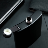 Фляжка &laquo;ЗОЖ&raquo;, 210 мл