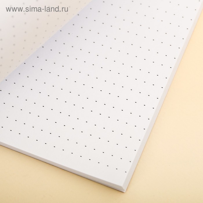 Ежедневник в точку &laquo;Кот с кофеечком&raquo;, А5, 64 листа