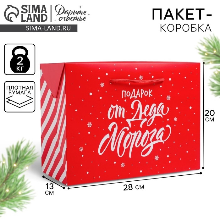 Пакет-коробка &laquo;Подарок&raquo;, 28 х 20 х 13 см, Новый год