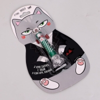 Лазер &laquo;Я хочу сыграть с тобой&raquo;, цвета МИКС,на блистере