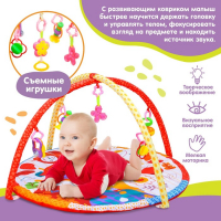 Развивающий коврик с дугами &laquo;Совушка&raquo;, 85х85 см.
