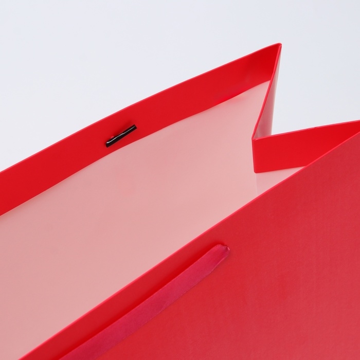 Пакет ламинированный горизонтальный &laquo;Фуксия&raquo;, L 40 &times; 31 &times; 14 см