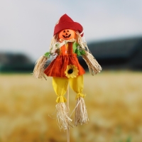 Огородное пугало «Тыква», h = 50 см, МИКС, Greengo Огородное пугало «Тыква», h = 50 см, МИКС, Greengo