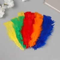 Перо декоративное гусиное "Веер" набор 30 шт h=10-15 см Перо декоративное гусиное "Веер" набор 30 шт h=10-15 см