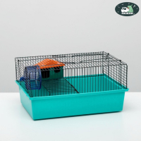 Клетка для грызунов "Пижон" №4, с этажом, укомплектованная, 37х26х18 см, бирюзовая Клетка для грызунов "Пижон" №4, с этажом, укомплектованная, 37х26х18 см, бирюзовая