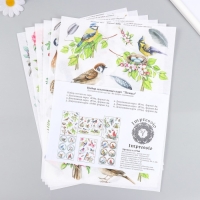 Набор декупажных карт 6 шт &laquo;Птицы&raquo;