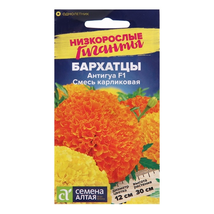 Семена цветов Бархатцы Антигуа, смесь карликовая, Сем. Алт, ц/п, 5 шт Семена цветов Бархатцы Антигуа, смесь карликовая, Сем. Алт, ц/п, 5 шт