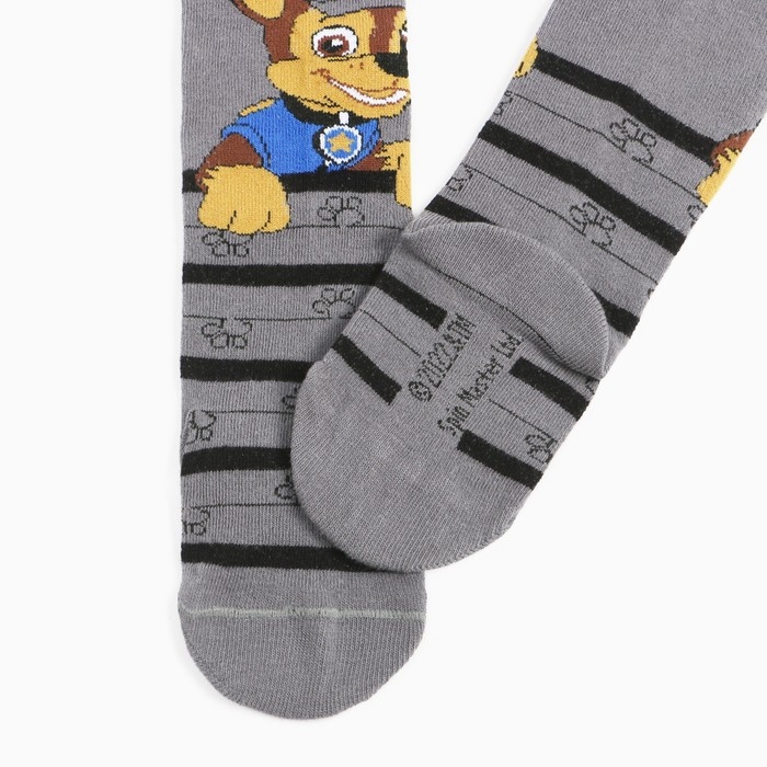 Колготки PAW PATROL &laquo;Гончик&raquo;, цвет серый, 98-104см