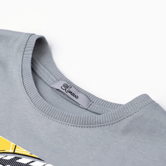 Футболка для мальчика, цвет серый, рост 116 см Футболка для мальчика, цвет серый, рост 116 см