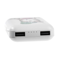 Внешний аккумулятор Ritmix RPB-10007, 10000 мАч, 2хUSB, 2.1 А, корги Внешний аккумулятор Ritmix RPB-10007, 10000 мАч, 2хUSB, 2.1 А, корги