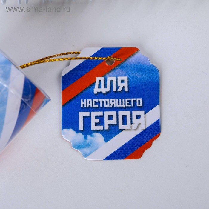 Ручка шариковая синяя паста в тубусе «Для настоящего героя», пластик Ручка шариковая синяя паста в тубусе «Для настоящего героя», пластик