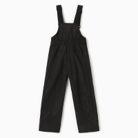 Полукомбинезон утеплённый для девочек, цвет чёрный, рост 110 см Полукомбинезон утеплённый для девочек, цвет чёрный, рост 110 см