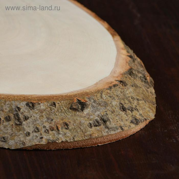 Спил осины, косой, 55х24 &plusmn;2см