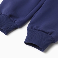Комплект для девочки (джемпер, брюки), цвет тёмно-синий, рост 116 см