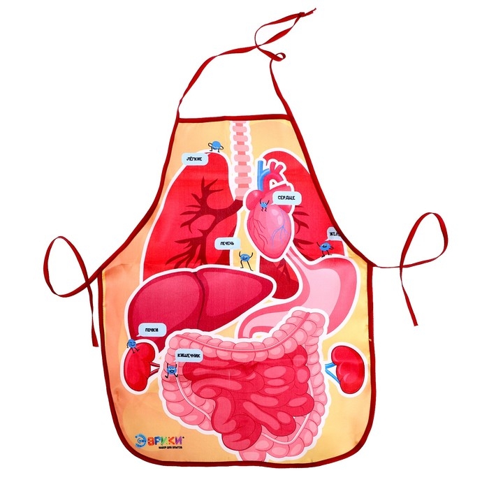 Набор для опытов &laquo;Мир внутри меня&raquo;