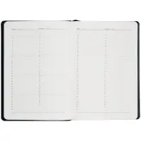 Ежедневник Alanis, недатированный, черный c голубым