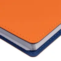 Ежедневник Spring Shall, недатированный, оранжевый Ежедневник Spring Shall, недатированный, оранжевый