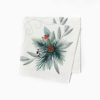 Набор салфеток Этель New Years treat 40х40 см,4 шт. 100% хл, саржа 190гр/м2 Набор салфеток Этель New Years treat 40х40 см,4 шт. 100% хл, саржа 190гр/м2