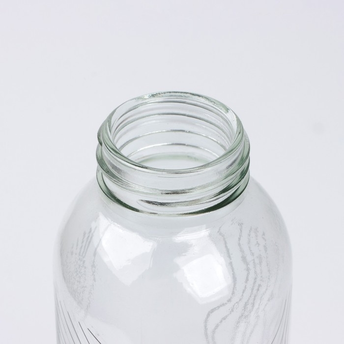 Бутылка для воды &laquo;Плыви&raquo;, 500 мл, стекло