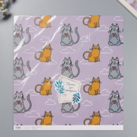 Бумага для скрапбукинга "Котики" плотность 180 гр набор 5 шт 30,5х32 см Бумага для скрапбукинга "Котики" плотность 180 гр набор 5 шт 30,5х32 см