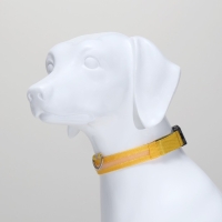 Ошейник с подсветкой размер L, ОШ 45-52 х 2,5 см 3 режима свечения жёлтый Ошейник с подсветкой размер L, ОШ 45-52 х 2,5 см 3 режима свечения жёлтый