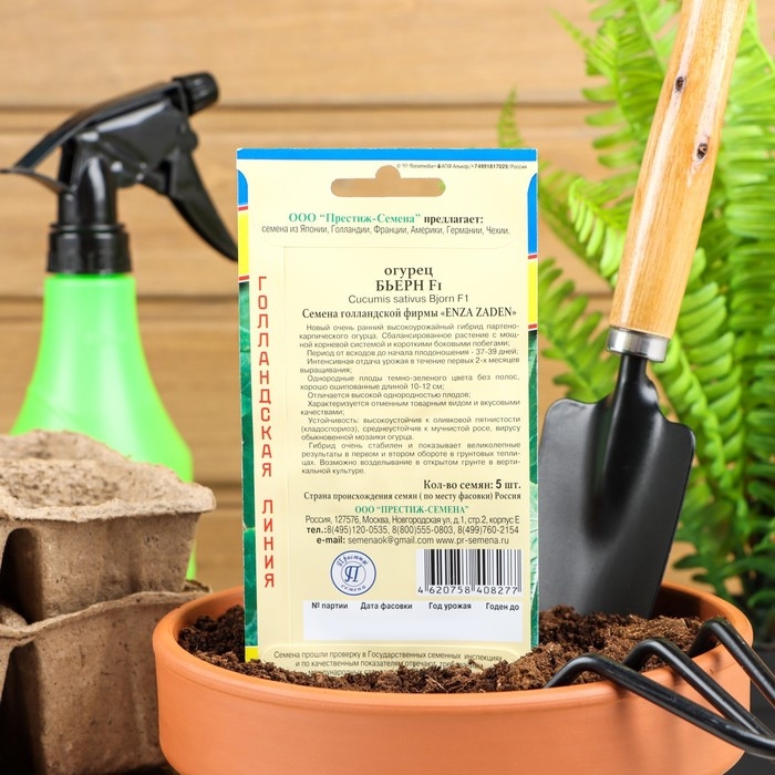 Семена огурца Семена огурца "Бьерн", F1, 5 шт.