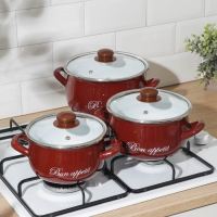Набор эмалированных кастрюль &laquo;Бордо&raquo;, 3 предмета: 2,1 л, 3,1 л, 4 л, индукция, цвет бордовый