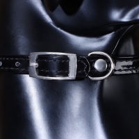 Ошейник "Сияние" с бусиной и бубенчиком, 29 х 1 см, ОШ 21-26, чёрный Ошейник "Сияние" с бусиной и бубенчиком, 29 х 1 см, ОШ 21-26, чёрный