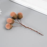 Цветы для декорирования "Хлопчик" бежевый 1 букет= 6 веточек d=2 см 11 см Цветы для декорирования "Хлопчик" бежевый 1 букет= 6 веточек d=2 см 11 см