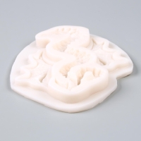 Форма силиконовая универсальная «Большой дракон», 15,2 × 5,2 × 1,5 см Форма силиконовая универсальная «Большой дракон», 15,2 × 5,2 × 1,5 см