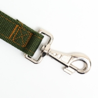 Поводок двухслойный с усиленным карабином, 1,2 м х 3 см, зелёный Поводок двухслойный с усиленным карабином, 1,2 м х 3 см, зелёный