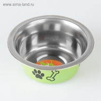 Миска стандартная цветная с принтом, 240 мл, зелёная Миска стандартная цветная с принтом, 240 мл, зелёная