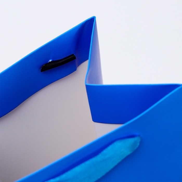 Пакет под бутылку &laquo;Мускари&raquo;, 13 x 36 x 10 см