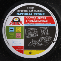 Сковорода &laquo;Алёна&raquo;, d=20 см, пластиковая ручка, антипригарное покрытие, цвет чёрный