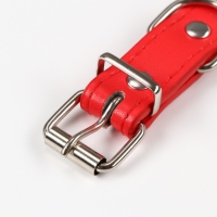 Ошейник с затупленными шипами, 45 х 2 см, микс цветов Ошейник с затупленными шипами, 45 х 2 см, микс цветов