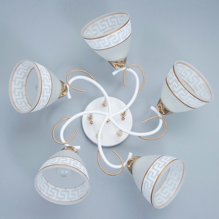 Люстра "Асфея" 5хЕ27 40Вт бело-золотой 50х50х24 см BayerLux