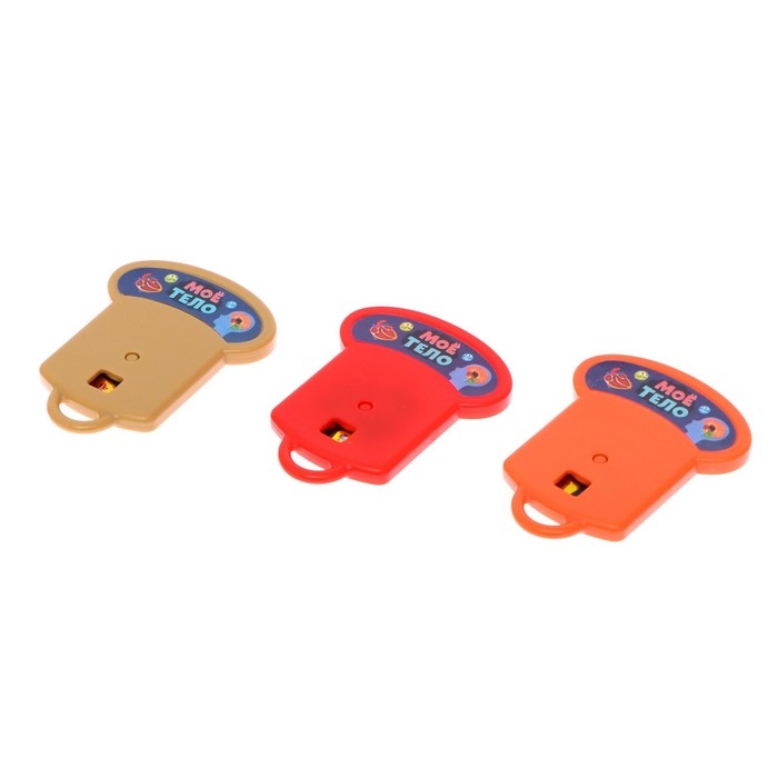 Игровой набор с проектором &laquo;Моё тело&raquo;, звук, свет, 24 карточки