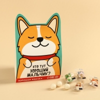 Жевательная резинка &laquo;Кто тут хороший мальчик?&raquo;, вкус: тутти-фрутти, 50 г.