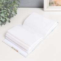 Фотоальбом на 100 фото 10х15 см, пластик. листы "SPb" Санкт-Петербург. Разводные мосты Фотоальбом на 100 фото 10х15 см, пластик. листы "SPb" Санкт-Петербург. Разводные мосты