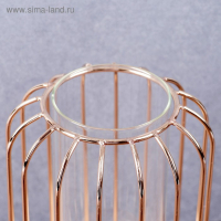 Ваза-флорариум "Ангстрем" 9х20 см, колба в подставке, золото