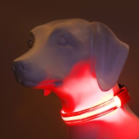 Ошейник с подсветкой Двойная полоса размер L, ОШ 45-52 х 2,5 см, 3 режима свечения красный