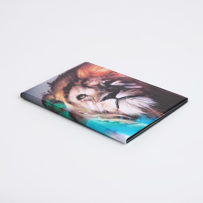 Обложка для паспорта, цвет разноцветный