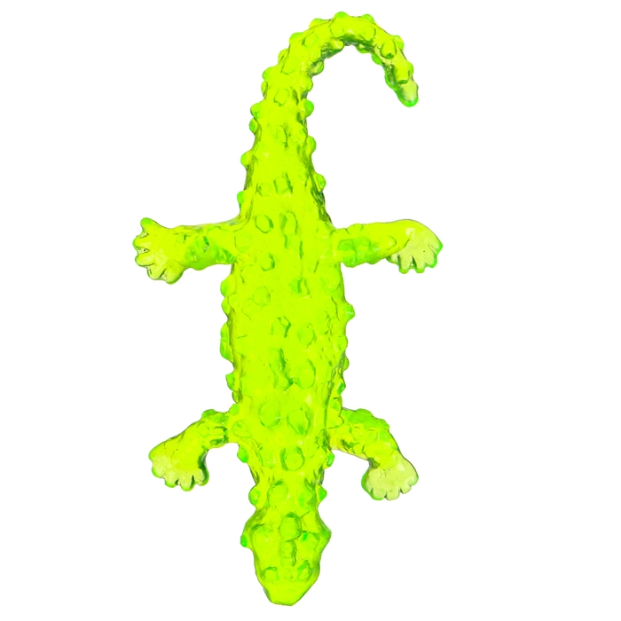 Липучка &laquo;Ящерки&raquo;, цвета МИКС, на блистере