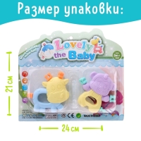 Набор прорезывателей для зубов &laquo;Забавные зверята&raquo;, 2 шт.