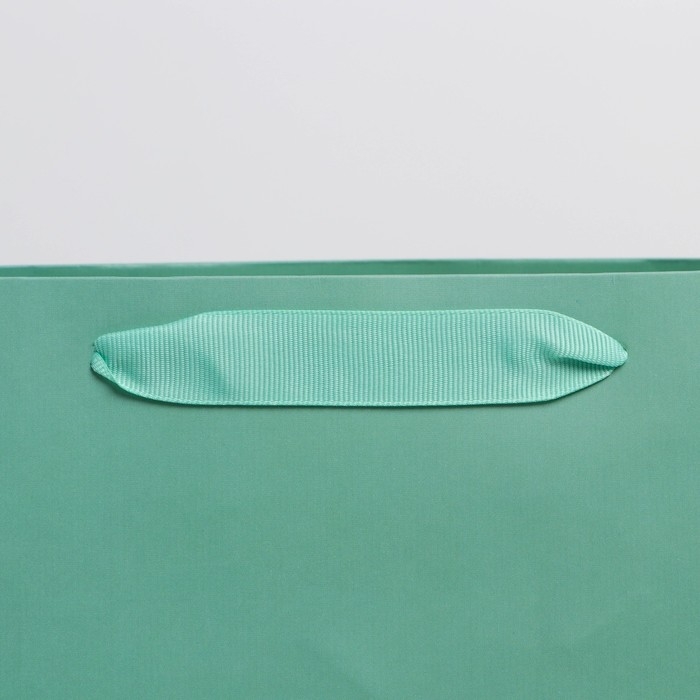 Пакет подарочный ламинированный, упаковка, &laquo;Тиффани&raquo;, ML 23 х 27 х 11.5 см